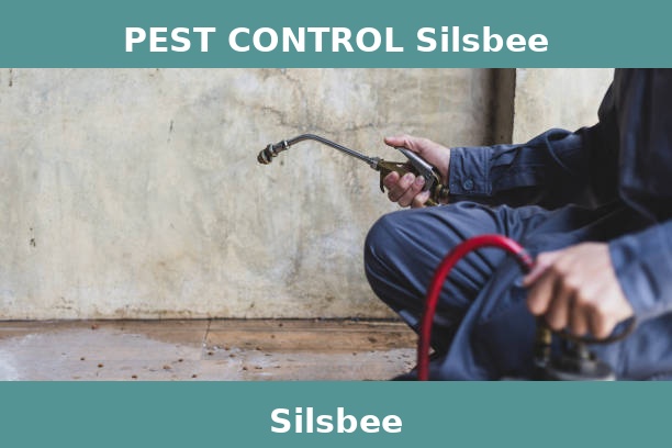 PEST CONTROL Silsbee